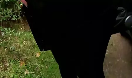 Ich wurde beim 4k pornofilme Masturbieren erwischt, muss jetzt Sex haben