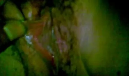 Zug 3 pornofilme gratis hd